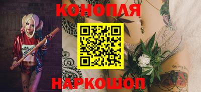 прущие грибы Будённовск