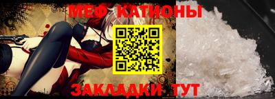прущие грибы Будённовск
